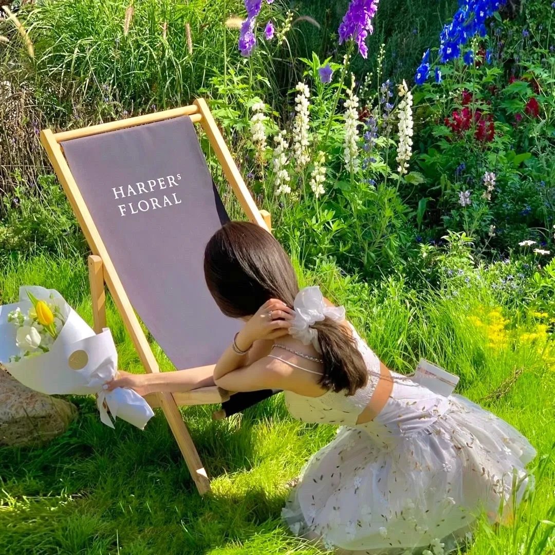 初学者的终极指南